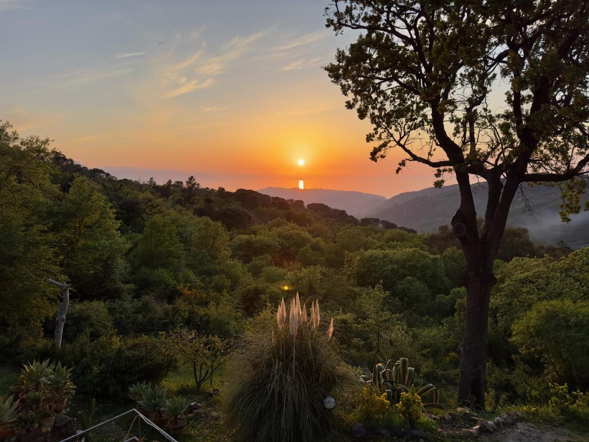 Cefalu Forest Hideout Eksteriør bilde
